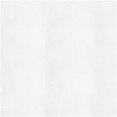 Image NAPPES PLIAGE M  55 G/M2 120x120 CM BLANC AIRLAID (200 UNITÉ) #1