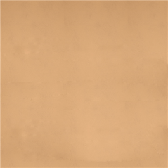 Image SETS DE TABLE PLIAGE M 'SPUNBOND' 60 G/M2 120x120 CM SABLE PP (200 UNITÉ) #1