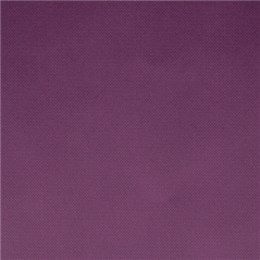 Image "TÊTE À TÊTE" PLIAGE 1/2 'SPUNBOND' 60 G/M2 40x120 CM VIOLET PP (400 UNITÉ) #3