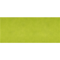 Image "TÊTE À TÊTE" PLIAGE 1/2 'SPUNBOND' 60 G/M2 40x120 CM LIME PP (400 UNITÉ) #1