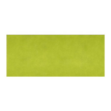 Image "TÊTE À TÊTE" PLIAGE 1/2 'SPUNBOND' 60 G/M2 40x120 CM LIME PP (400 UNITÉ) #1