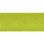 Image "TÊTE À TÊTE" PLIAGE 1/2 'SPUNBOND' 60 G/M2 40x120 CM LIME PP (400 UNITÉ) #1