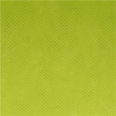 Image "TÊTE À TÊTE" PLIAGE 1/2 'SPUNBOND' 60 G/M2 40x120 CM LIME PP (400 UNITÉ) #3