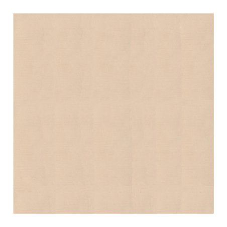 Image NAPPES PLIAGE M 'LIKE LINEN' 70 G/M2 120x120 CM CREME SPUNLACE (200 UNITÉ) #1