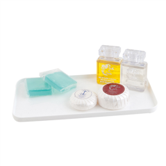 Image PLATEAUX PRODUITS D'ACCUEIL  23x11,5 CM BLANC PS (10 UNITÉ) #4