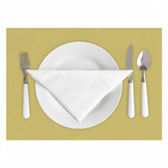 Image SETS DE TABLE RECYCLÉS  90 G/M2 31x43 CM PAILLE PAPIER (1250 UNITÉ) #3