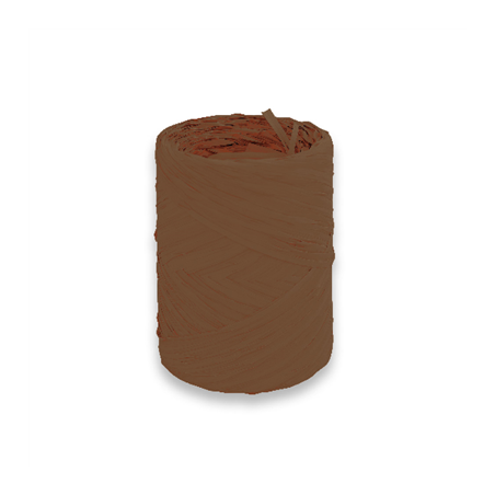 Image RUBAN 'RAPHLENE'  12,5 MMx100 M CHOCOLAT PP (1 UNITÉ) #1