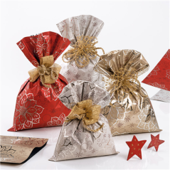 Image 50 SACS METAL."STELLA DI NATALE" 20x35 CM. ARGENTE PP (1 UNITÉ) #1