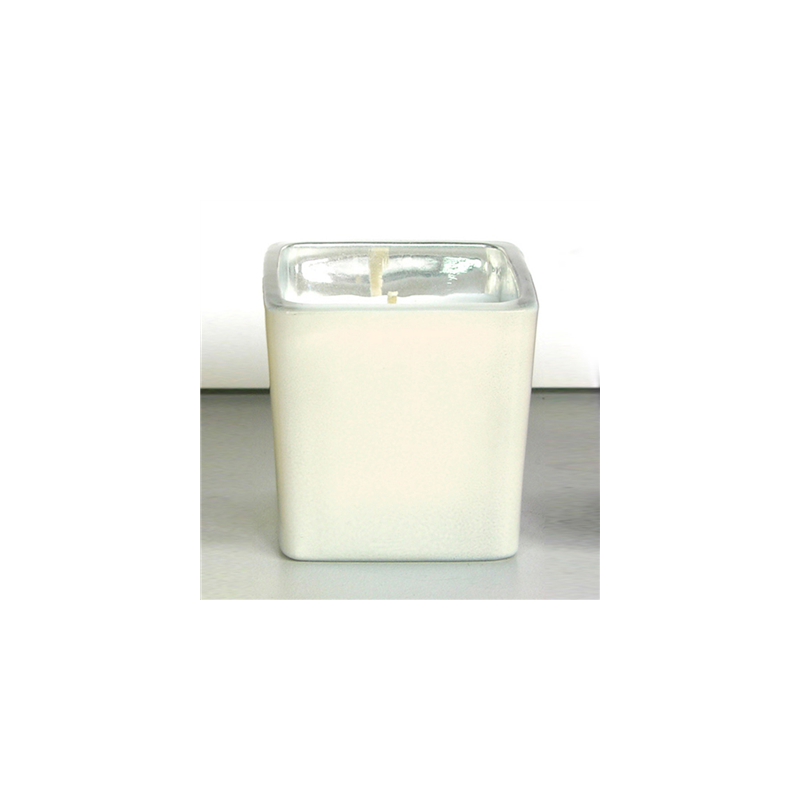 BOUGIE VERRE 5,1x5,1 CM CREME PARAFFINE (12 UNITÉ) BOUGIE VERRE 5,1x5,1 CM CREME PARAFFINE (12 UNITÉ)