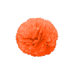 Image POM POM FLOWER  Ø 25 CM ORANGE PAPIER (10 UNITÉ) #1
