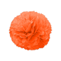 POM POM FLOWER Ø 35 CM ORANGE (10 UNITÉ) Image POM POM FLOWER Ø 35 CM ORANGE (10 UNITÉ) #1