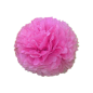 POM POM FLOWER Ø 35 CM FUCHSIA PAPIER (10 UNITÉ) Image POM POM FLOWER Ø 35 CM FUCHSIA PAPIER (10 UNITÉ) #1