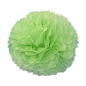 POM POM FLOWER Ø 48 CM VERT PAPIER (10 UNITÉ) Image POM POM FLOWER Ø 48 CM VERT PAPIER (10 UNITÉ) #1