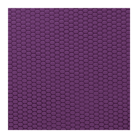 "TÊTE-À-TÊTE" PRÉ. 120CM (30 FEU.) 'SPUNBOND PLUS+' 80 G/M2 0,40x36 M VIOLET PP (6 UNITÉ)