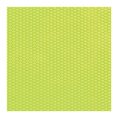 Image SETS DE TABLE 'SPUNBOND PLUS+' 80 G/M2 30x40 CM LIME PP (500 UNITÉ) #1