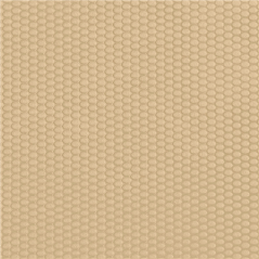 Image SETS DE TABLE 'SPUNBOND PLUS+' 80 G/M2 30x40 CM SABLE PP (500 UNITÉ) #1