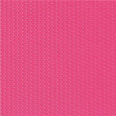 Image SETS DE TABLE 'SPUNBOND PLUS+' 80 G/M2 30x40 CM FRAMBOISE PP (500 UNITÉ) #1