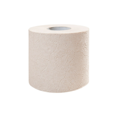 6 U. ROULEAUX HYGIENIQUES 2 PLIS 2x17 G/M2 10 CM (h) x 36 M NATUREL PAPIER RECYCLÉ (1 UNITÉ)