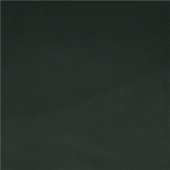 "TÊTE-À-TÊTE" PRÉ. 120 CM (40 FEU.) 'SPUNBOND' 60 G/M2 0,40x48 M VERT JAGUAR PP (6 UNITÉ)