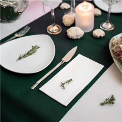 Image "TÊTE-À-TÊTE" PRÉ. 120 CM (40 FEU.) 'SPUNBOND' 60 G/M2 0,40x48 M VERT JAGUAR PP (6 UNITÉ) #3