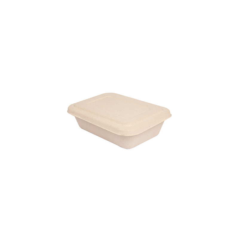 PLATEAUX + COUVERCLE 'BIONIC' 800 ML 19,3x13,5x5 CM NATUREL BAGASSE (400 UNITÉ) PLATEAUX + COUVERCLE 'BIONIC' 800 ML 19,3x13,5x5 CM NATUREL BAGASSE (400 UNITÉ)