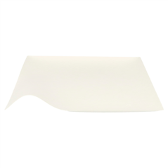 Image ASSIETTES KAKU L 'BIONIC'  20,4x3,6 CM BLANC BAGASSE (100 UNITÉ) #1