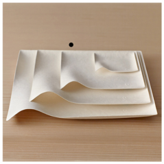 Image ASSIETTES KAKU M 'BIONIC'  15x15x2,6 CM BLANC BAGASSE (200 UNITÉ) #4