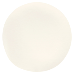 Image ASSIETTES MARU L 'BIONIC'  Ø 23x3,4 CM BLANC BAGASSE (100 UNITÉ) #3