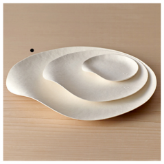 Image ASSIETTES MARU L 'BIONIC'  Ø 23x3,4 CM BLANC BAGASSE (100 UNITÉ) #4
