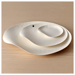 Image ASSIETTES MARU M 'BIONIC'  Ø 16,5x2,4 CM BLANC BAGASSE (200 UNITÉ) #4