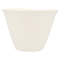 Image GOBELETS CHOKO 'BIONIC' 175 ML Ø 8,3x6,1 CM BLANC BAGASSE (200 UNITÉ) #2