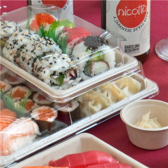 Image COUVERCLES POUR RÉF. 212.95 'BIONIC'  19x13,6x3,2 CM TRANSPARENT OPS (800 UNITÉ) #4