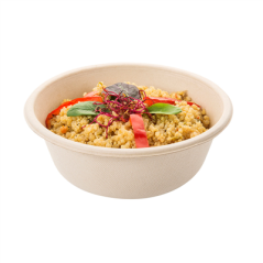 Image SALADIERS 'BIONIC' 500 ML Ø 15x6 CM NATUREL BAGASSE (500 UNITÉ) #4