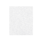 Image 50 U. LAVETTES "PERFOKLEEN"  45 G/M2 36x42 CM BLANC VISCOSE (1 UNITÉ) #2