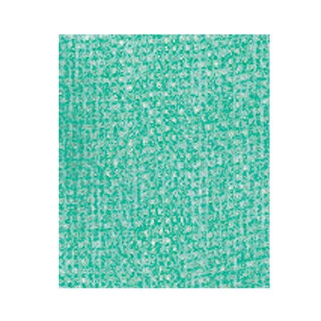 25 U. LAVETTES "SUPER PERFOKLEEN"  80 G/M2 36x42,5 CM VERT VISCOSE (1 UNITÉ)