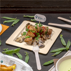 Image ASSIETTES CARRÉES 'BIONIC'  20x20x1 CM NATUREL BAGASSE (200 UNITÉ) #4