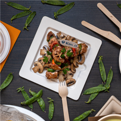 Image ASSIETTES CARRÉES 'BIONIC'  20x20x1 CM BLANC BAGASSE (200 UNITÉ) #4