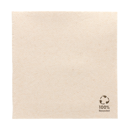 Image SERVIETTES RECYCLÉS ECOLABEL 'DOUBLE POINT' 19 G/M2 25x25 CM NATUREL OUATE RECYCLÉE (3000 UNITÉ) #1