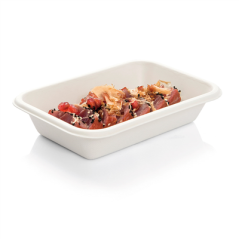 Image PLATEAUX 'BIONIC' 710 ML 21,5x14x3,7 CM BLANC BAGASSE (600 UNITÉ) #4