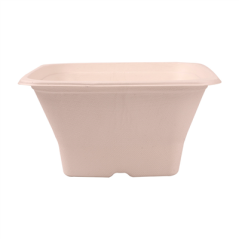BOLS CARRÉS 'BIONIC' 1,2 L 18x18x9 CM NATUREL BAGASSE (400 UNITÉ)