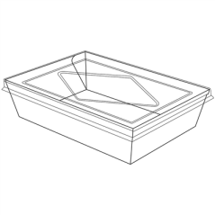 Image COMBO RÉCIPIENTS + COUVERCLES PET 700 ML 300 +20 PE G/M2 17x11,8x4,5 CM NATUREL KRAFT (200 UNITÉ) #1