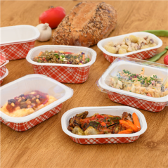 Image BARQUETTES THERMO FIXANTES 'VICHY' 480 ML 390 G/M2 + 25G/M2 PET 16x10x5,5 CM BLANC CARTON (1000 UNITÉ) #4