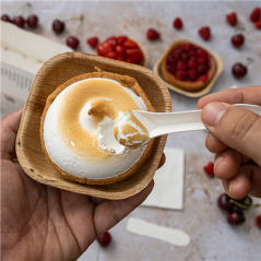 Image PETITES CUILLÈRES POUR GLACES 'PAPER SPOON' 590 G/M2 9,4 CM BLANC CARTON (450 UNITÉ) #7