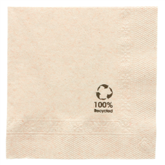 Image SERVIETTES ECOLABEL 2 PLIS 18 G/M2 25x25 CM NATUREL OUATE RECYCLÉE (4800 UNITÉ) #1