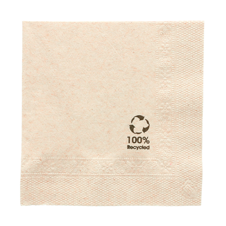 Image SERVIETTES ECOLABEL 2 PLIS  18 G/M2 25x25 CM NATUREL OUATE RECYCLÉE (4800 UNITÉ) #1