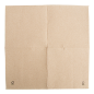 Image SERVIETTES ECOLABEL 'DOUBLE POINT' 19 G/M2 30x30 CM NATUREL OUATE RECYCLÉE (1800 UNITÉ) #4