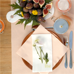 Image SERVIETTES P.1/8 'ECO-BAMBOO' 70 G/M2 40x40 CM BLANC BAMBOU (600 UNITÉ) #4