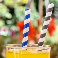 Image PAILLES À FRANGES SOUS SACHETS 'PAPER'  Ø0,80x23,5 CM ASSORTI PAPIER (3000 UNITÉ) #4