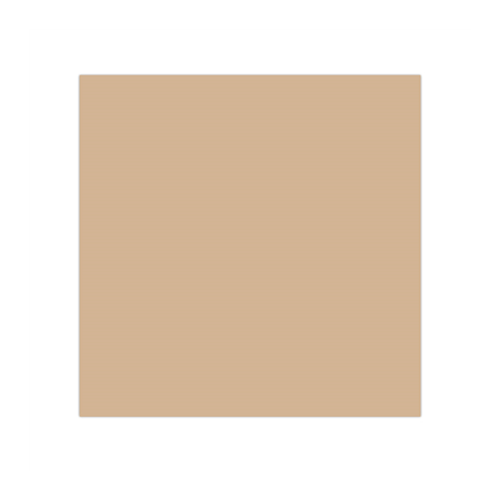 Image PAPIER INGRAISSABLES BASKET  34 G/M2 31x31 CM NATUREL PARCH.INGRAISSABLE (1000 UNITÉ) #1