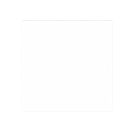 Image PAPIER INGRAISSABLES BASKET  35 G/M2 31x31 CM BLANC PARCH.INGRAISSABLE (1000 UNITÉ) #1